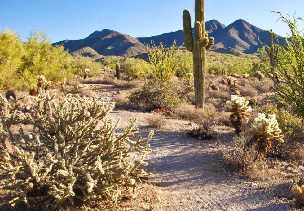 hiking trails